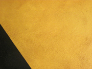 Pine Yellow floorcloth with black border